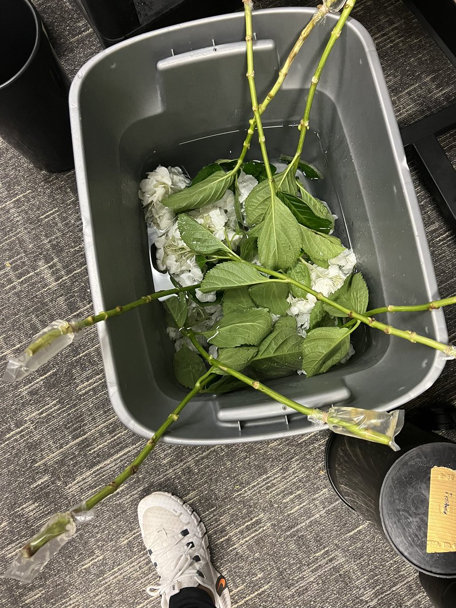 Foster Floral Design tweet media