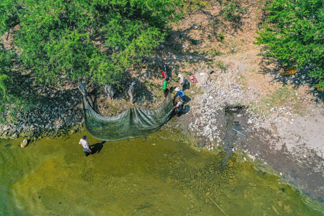 #mipueblo Continua la la remoción de cianobacterias del lago de Coatepeque
👉tinyurl.com/2cvxqzqn
#MinisterioDeSalud #LagoDeCoatepeque #yocuidocoatepeque