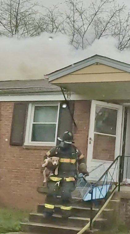 House Fire, 3:23pm, 6500 Blk Rosemont St., Upper Marlboro, fire located in the attic and quickly extinguished by PGFD. One adult and one child were able to escape unharmed. One dog rescued by firefighters. No reported injuries and the cause is under investigation.