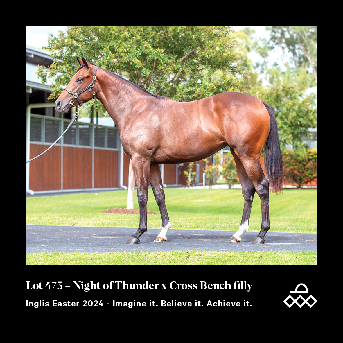 ArrowfieldStud's tweet photo. This filly is bred on the same Dubawi/Invincible Spirit nick as a G1-winning juvenile!
#InglisEaster2024 #achieveit #arrowfield #inglisstats https://t.co/7SsYVOhmGz
