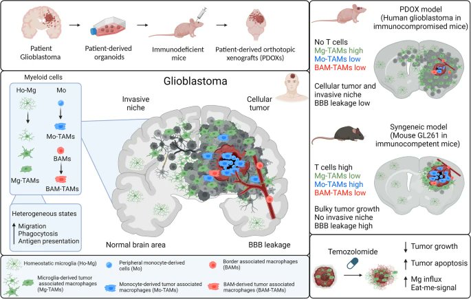 Our work is finally published in @GenomeMedicine Thanks to @AnGolebiewska, #Alessandro and all co-authors for your guidance, contributions and support. Thanks to the #reviewers for the thoughtful comments that significantly improved the manuscript.