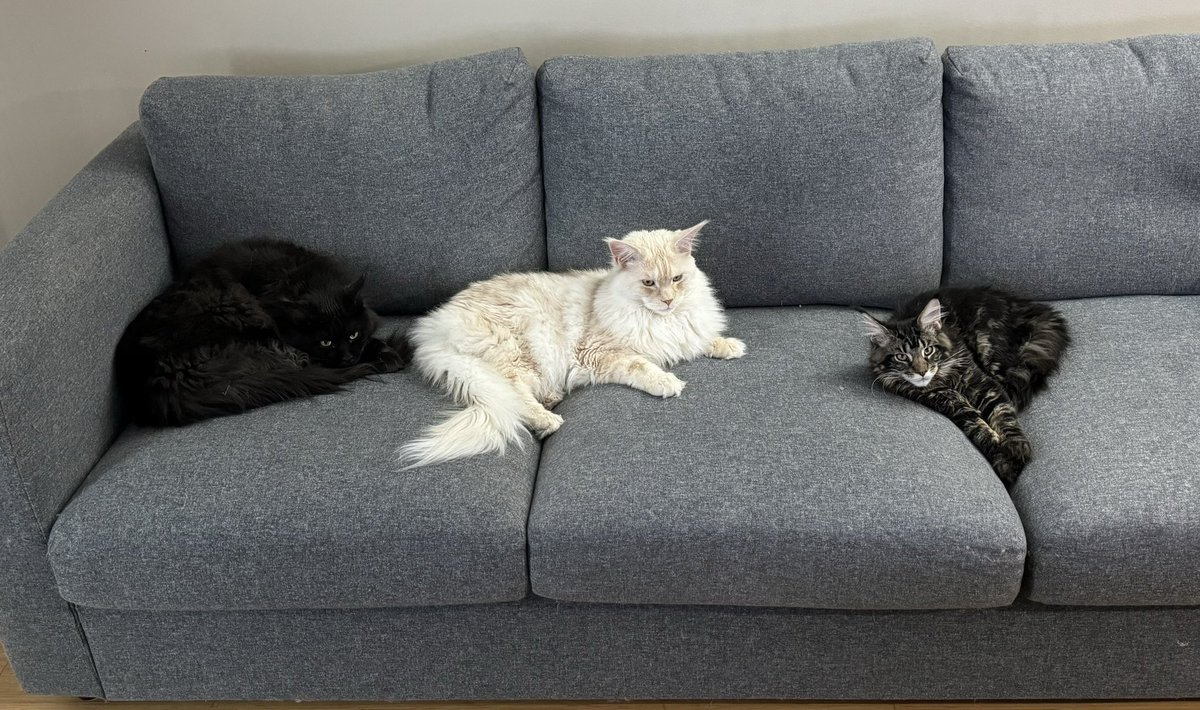 Shortsighted Capital tweet media