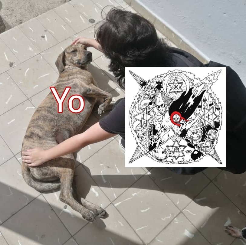 soy ese perrito y los sueños de nube mi refugio