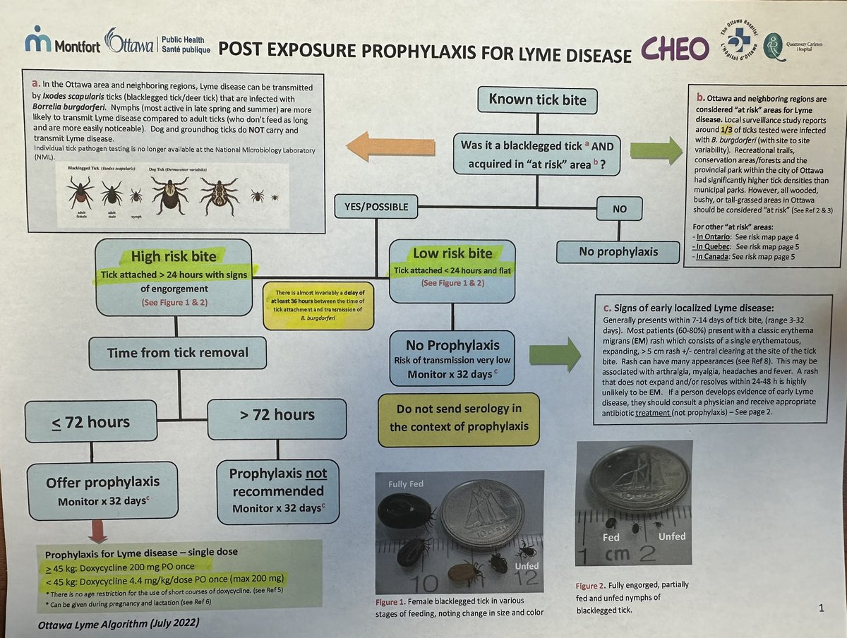 Sorry for tick-pics but the buggers are everywhere. This taken from a patient and yes it is a nonengorged ,female, black legged deer tick. 

Good time to remind us of current prophylactic treatment recommendations in young patients. 
                                            ⬇️