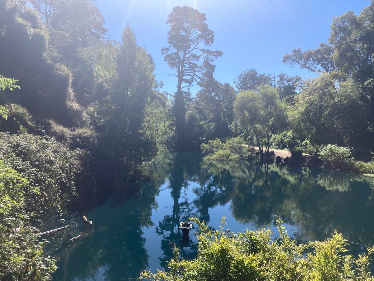 Anouk Fransen (@anouk_fransen) on Twitter photo Arrived a few days early to #ISA2024 to explore beautiful San Francisco & I did not know that the best was yet to come, thank you <a href="/StacyDVanDeveer/">Stacy D VanDeveer</a> for the amazing tip of the ferry to Sausalito! Arrived a few days early to #ISA2024 to explore beautiful San Francisco & I did not know that the best was yet to come, thank you <a href="/StacyDVanDeveer/">Stacy D VanDeveer</a> for the amazing tip of the ferry to Sausalito!