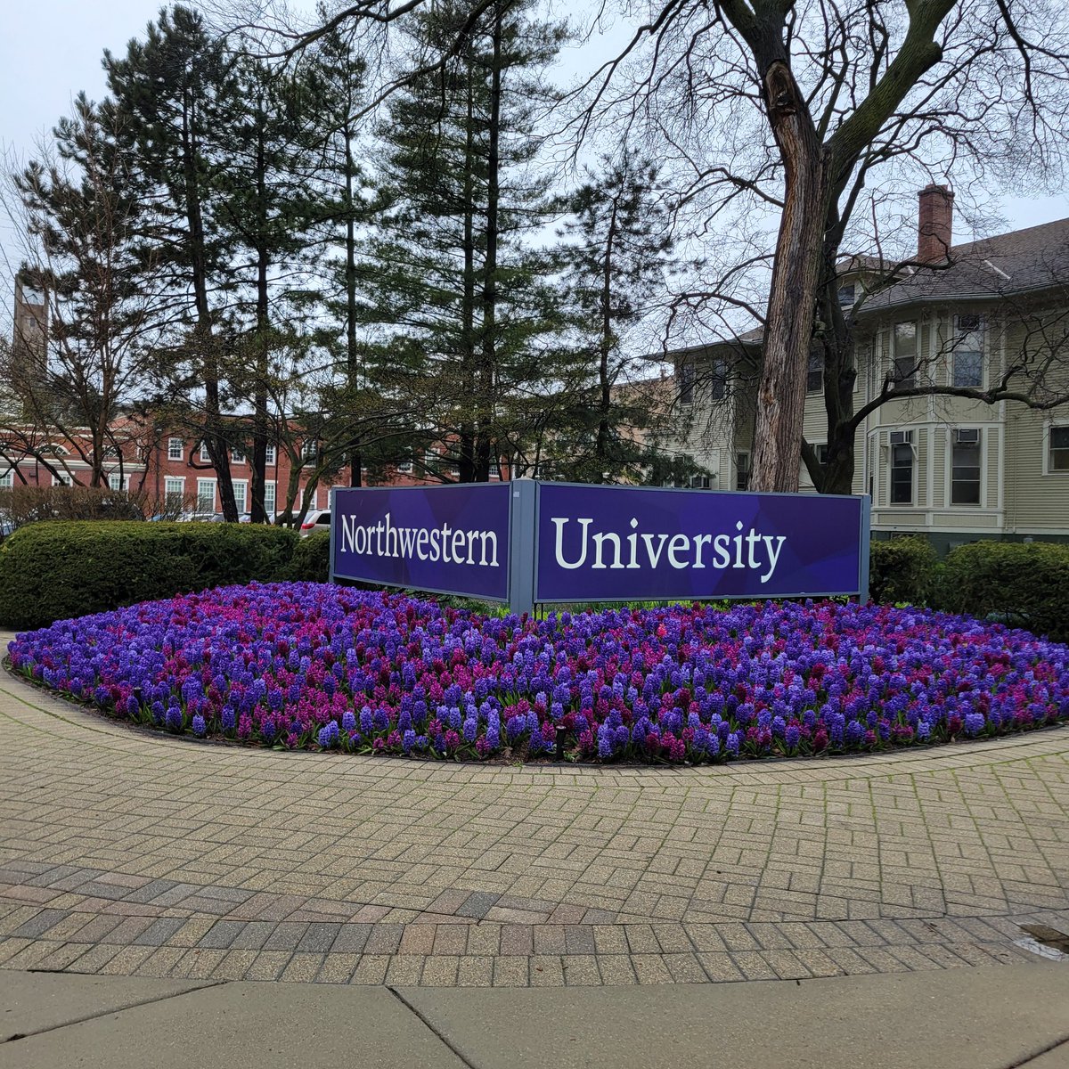 Thanks @PoliSciatNU for inviting me to give a workshop on my book Countermobilization. Enjoyed the conversation!