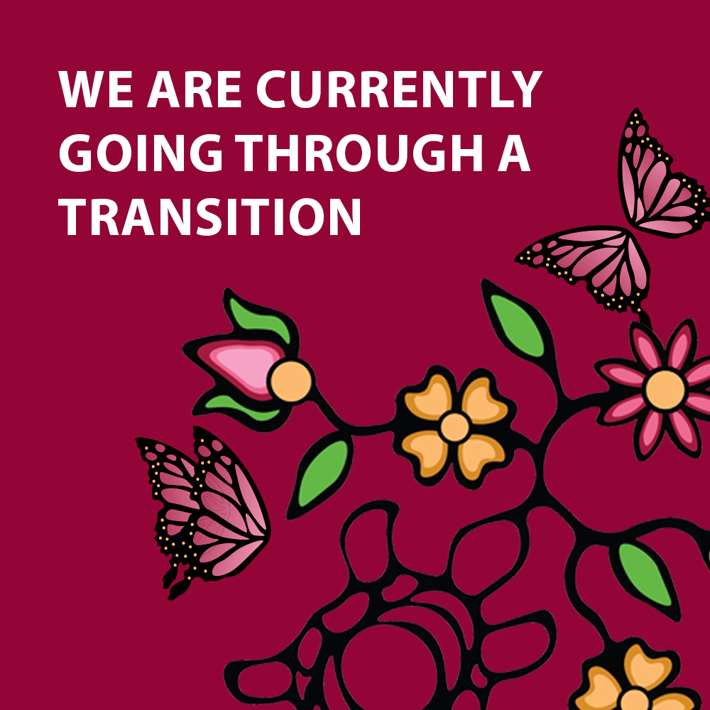 NAN Hope is in the process of switching service providers! This change will bring many improvements to our services, but we understand that transitions can sometimes cause disruptions. 
We value your patience and understanding during this time. 
nanhope.ca