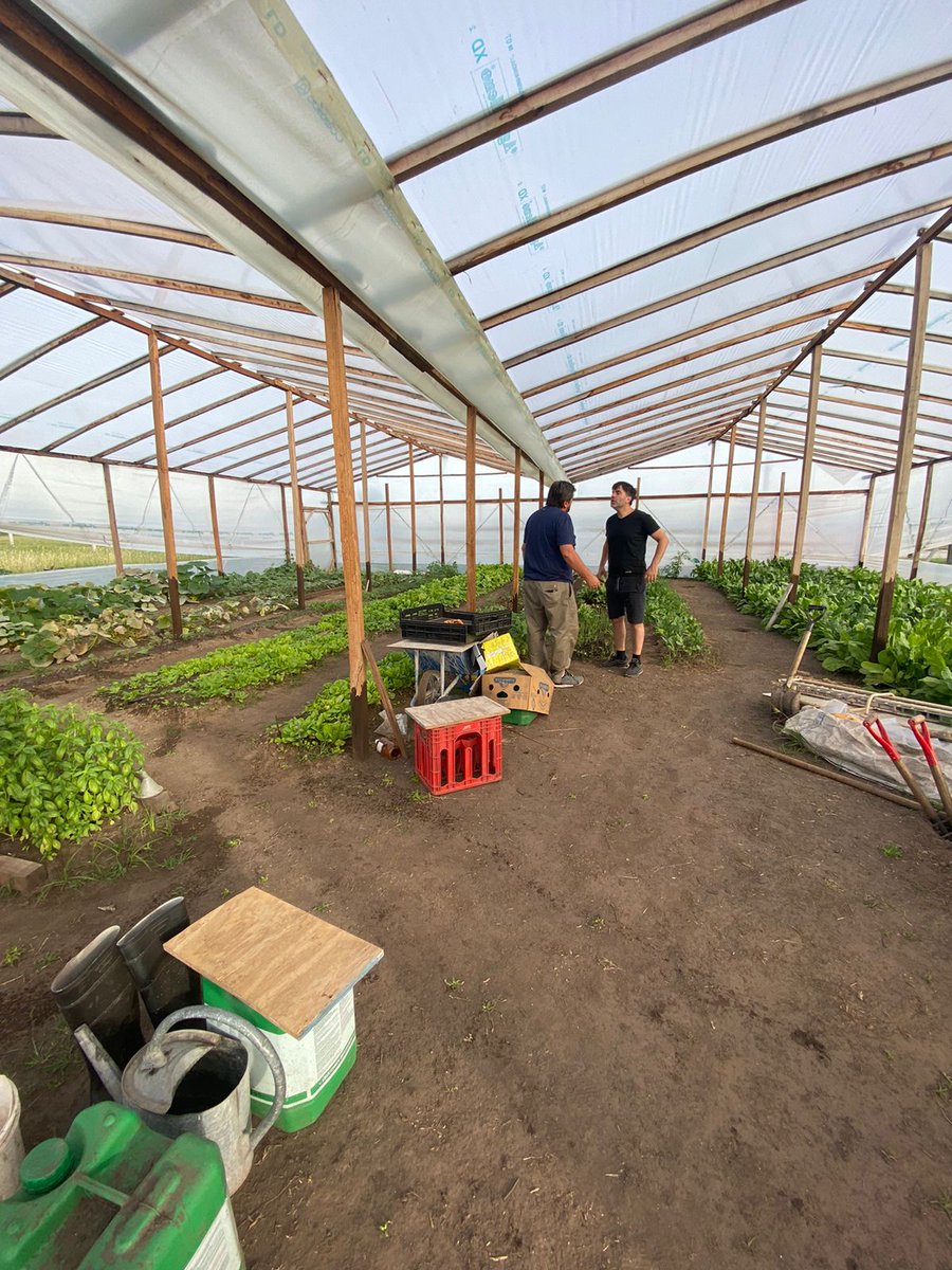 AL CARAJO EL LIBRE MERCADO.
Queremos que nuestros vecinos consuman verdura orgánica y barata.
Empezamos la primera cosecha y en 2 años vamos a abastecer a toda la ciudad.
Vamos a intervenir desde el Estado Municipal para que haya comida sana, de calidad y barata.
Producida en
