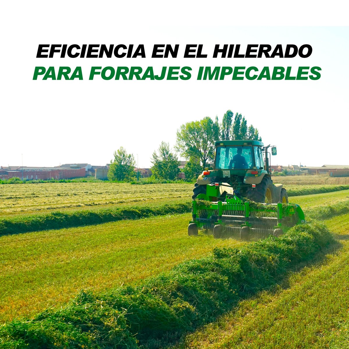 🌾💡 ¿Buscas forrajes de calidad? Con los Hileradores Hispano de Stirmot, obtén forrajes impecables. 🟢 Optimiza tu cosecha con resultados excepcionales. #ForrajesDeÉxito #HileradoEficiente #Stirmot #agricultura #ganaderia