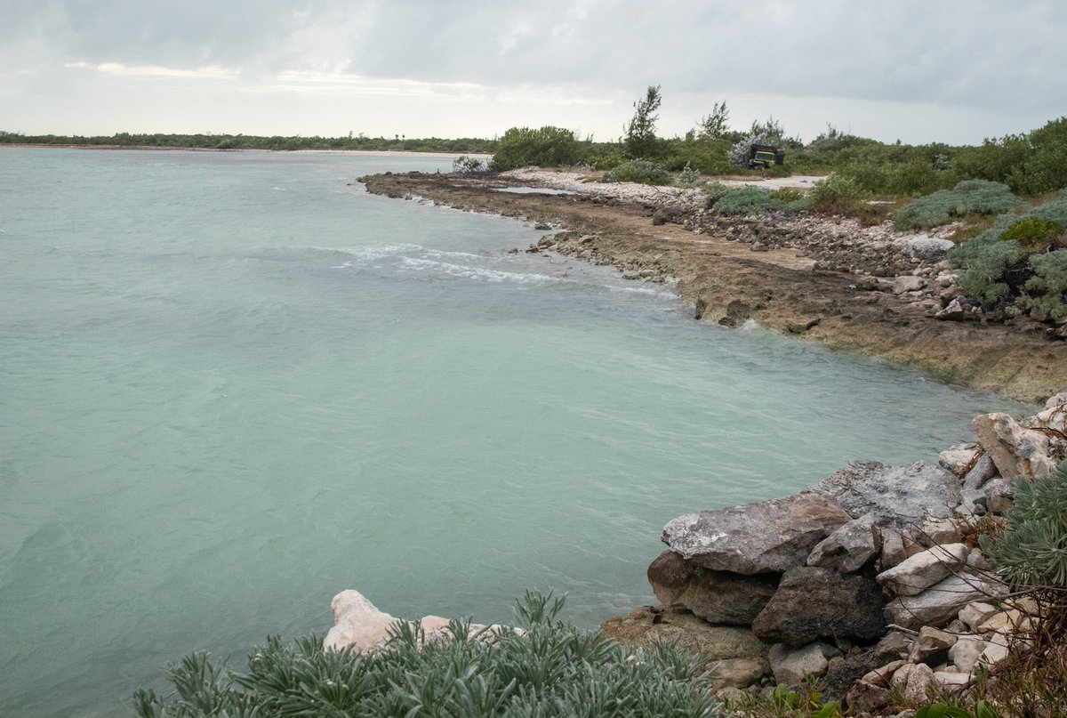 RevGlobalImages's tweet image. Take me back to the island ☀️☁️🏝️🐠🦞