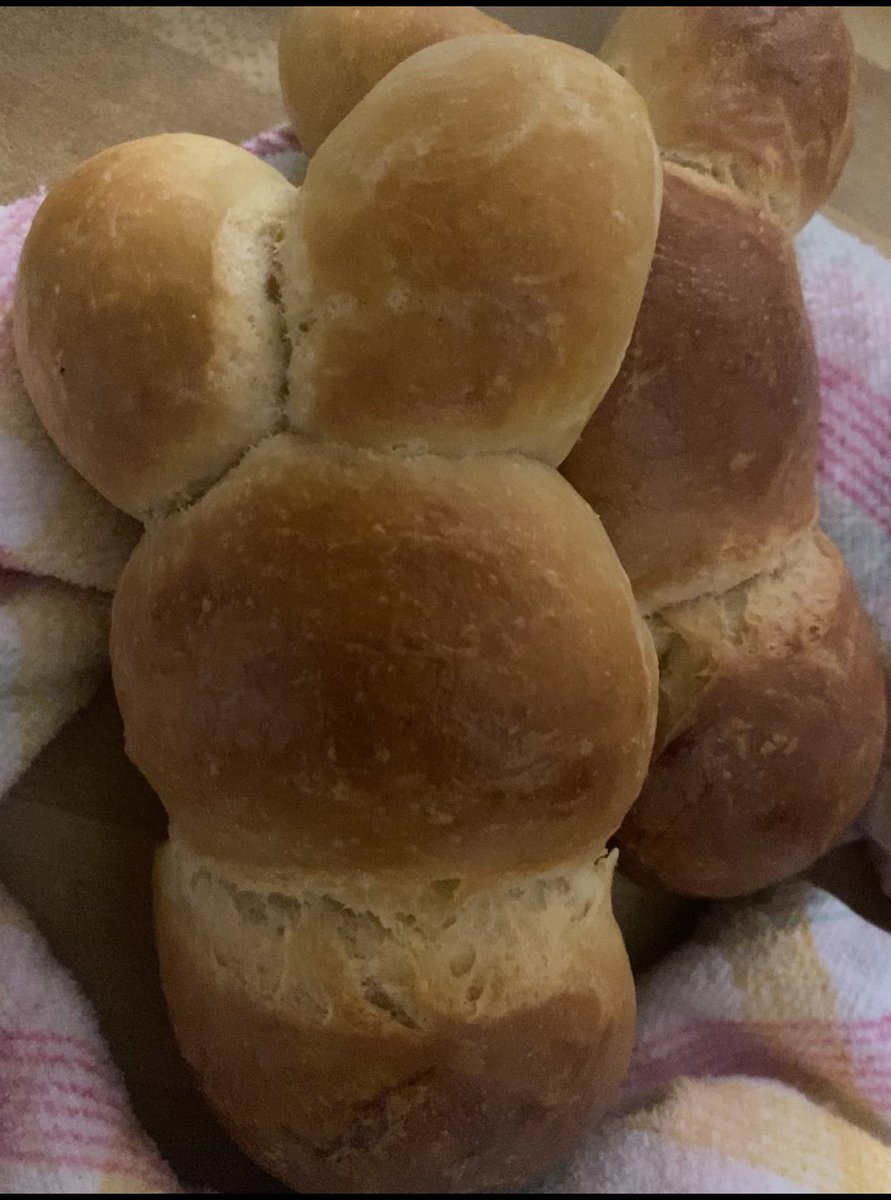 lyssareads's tweet photo. Love having a 15 year old baker at home! He made brioche bunnies for Easter. 🐰 https://t.co/OXFB8fwGDV