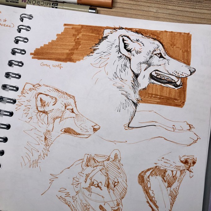 Wolf n Lynx 