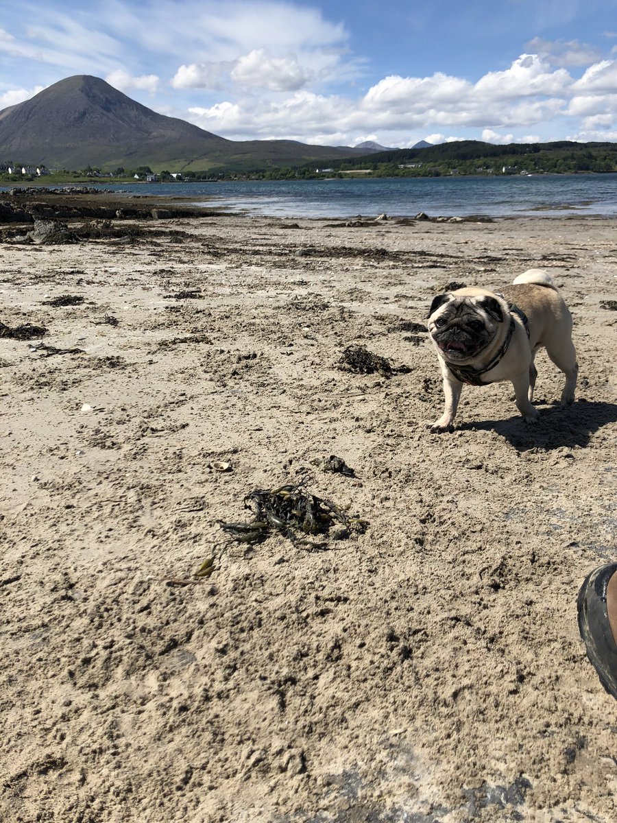 Emily Thompson tweet media