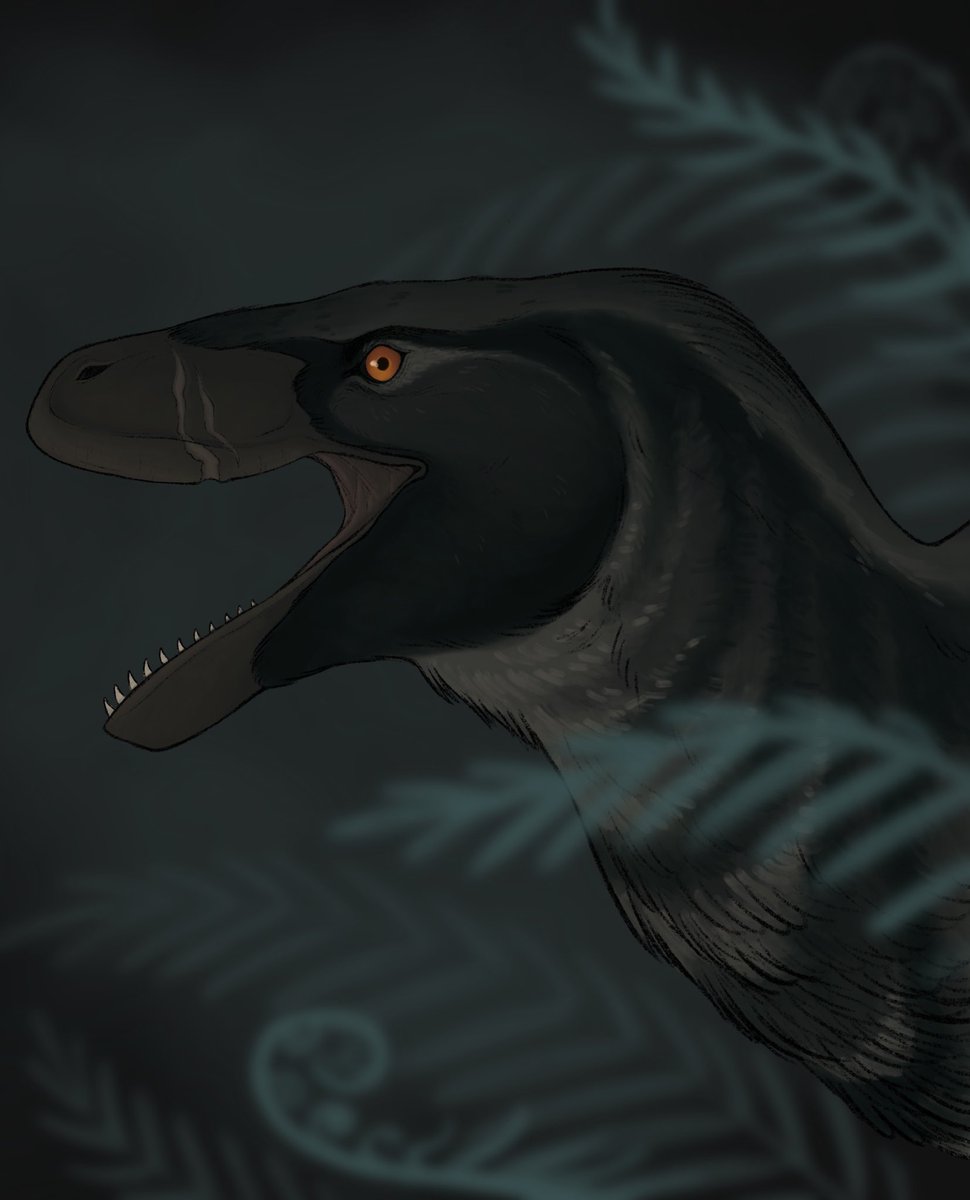 possumteeeth's tweet photo. waking from my 135 million year slumber to post this utahraptor 

#paleoart #utahraptor https://t.co/IsBuGztTGJ