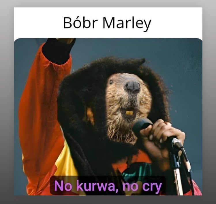 meejnow (@manoeaerts) on Twitter photo 