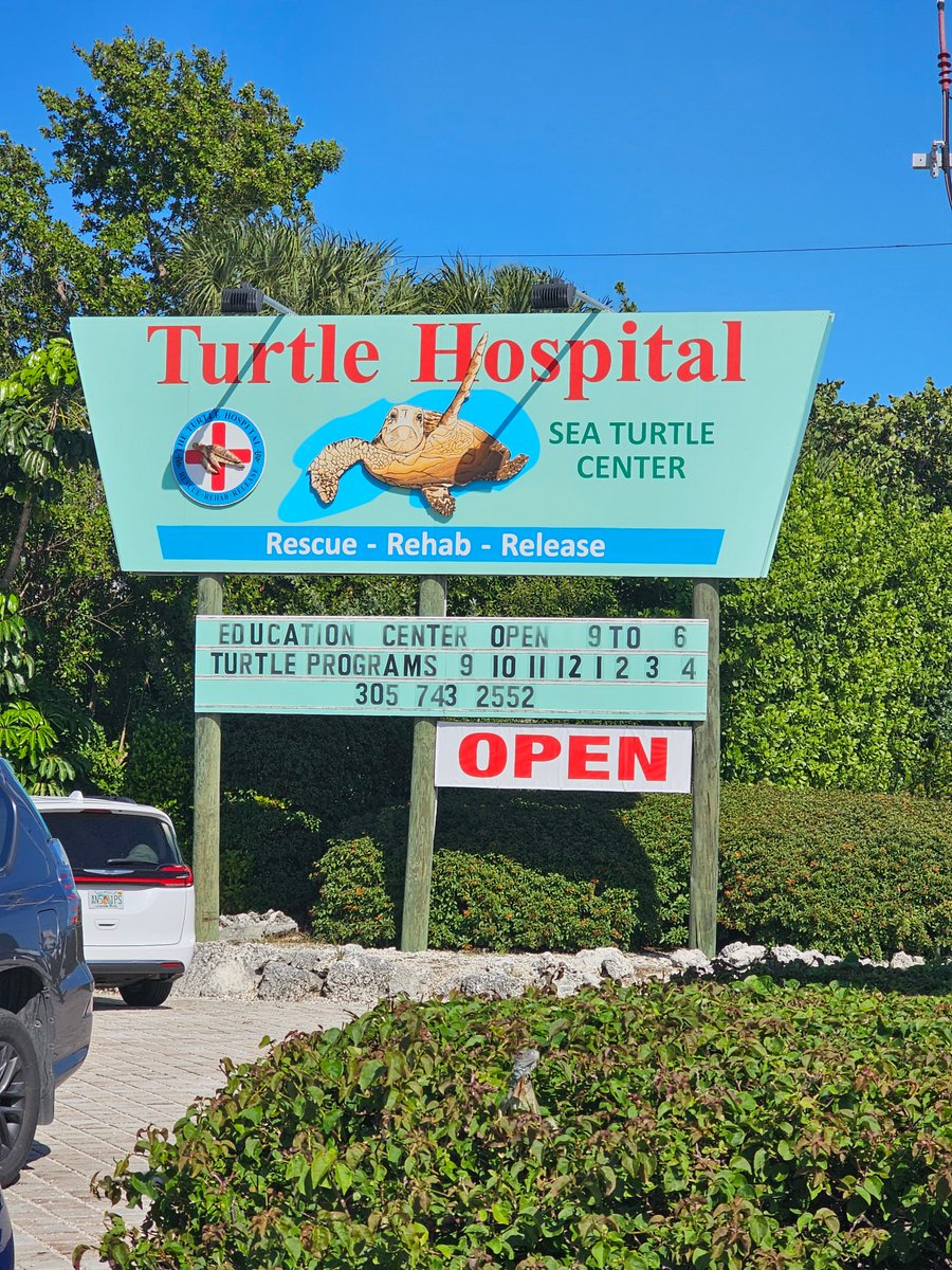 📷📷 Have you explored the Turtle Hospital in Marathon, Florida? Share your experiences and encounters with these magnificent creatures! 📷📷
#TurtleHospital #marathonturtlehospital #MarathonFlorida #ConservationEfforts #SeaTurtles #WildlifeRescue