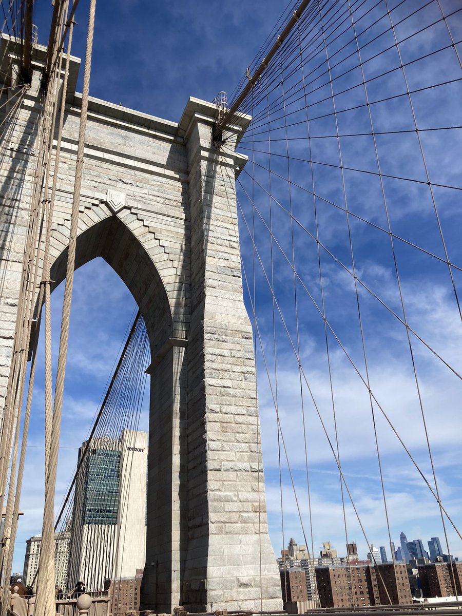 DT Dept Melksham Oak tweet media