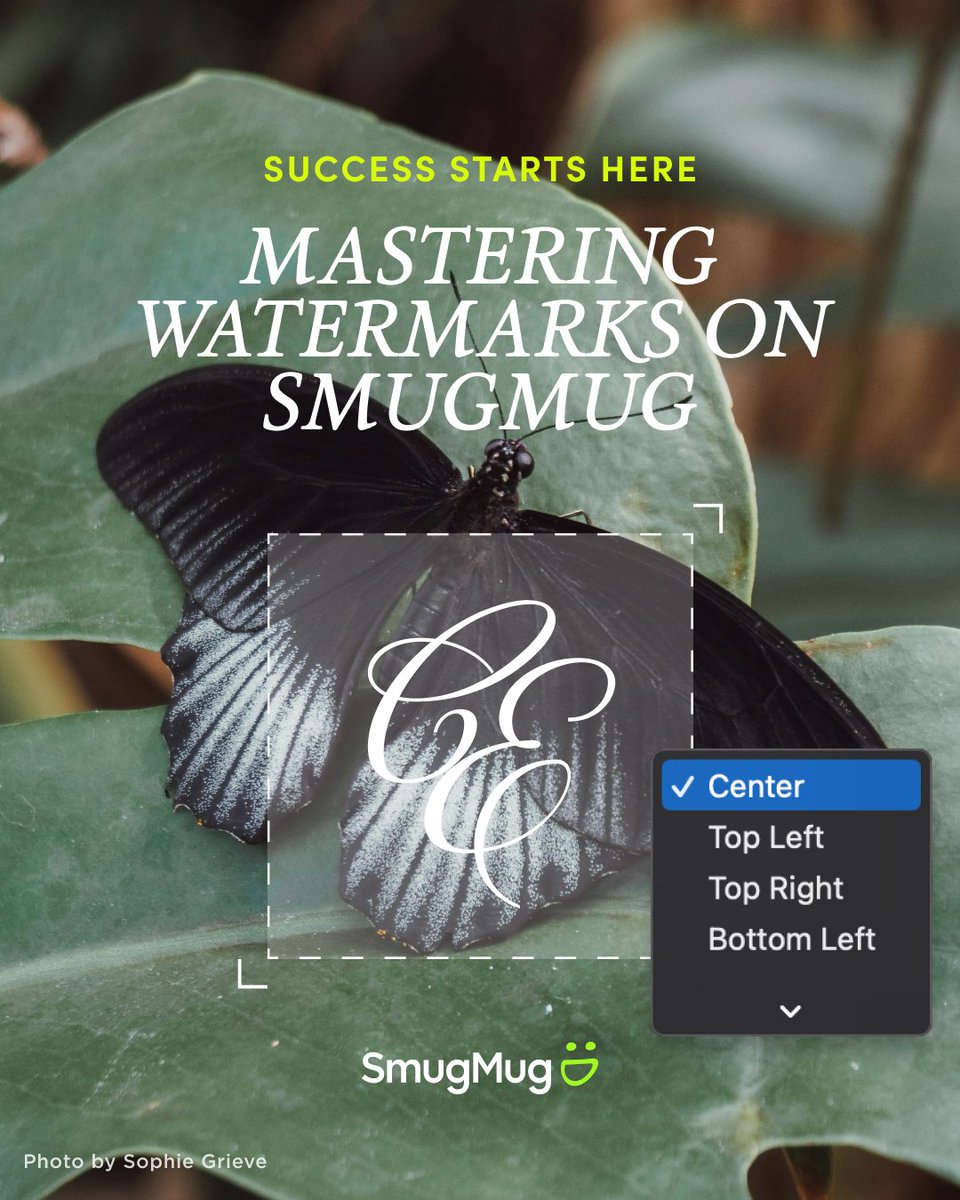 Let's talk about the power of watermarks. It can protect your work. It can elevate your brand. On SmugMug, it is super easy to create your own custom watermark. We break it all down for you on our Development Lab blog. smugmug.com/development-la…