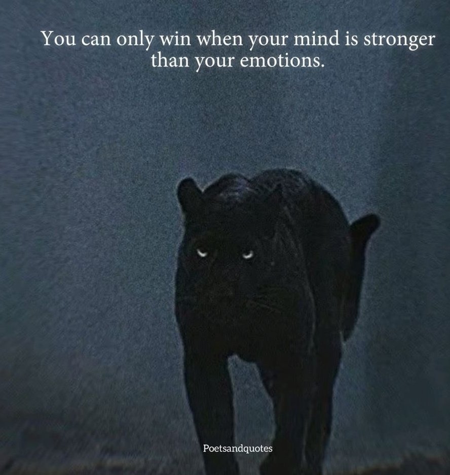 Mind_Essentials's tweet photo. https://t.co/IFlVG92mVL
