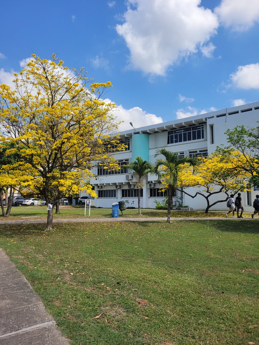 djmillerJA's tweet image. #TuesdayScenes #PouiPics