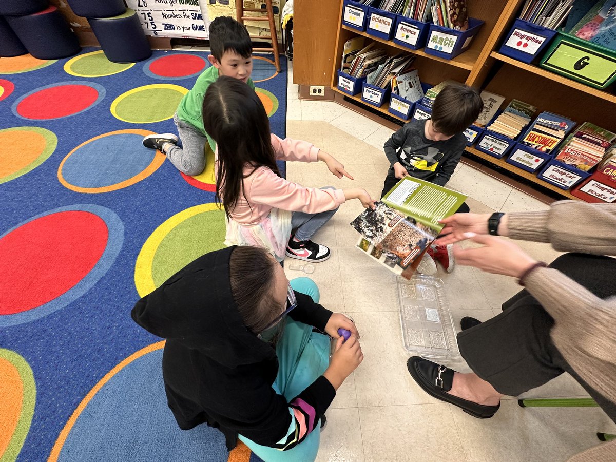 Ms. Volpe tweet media