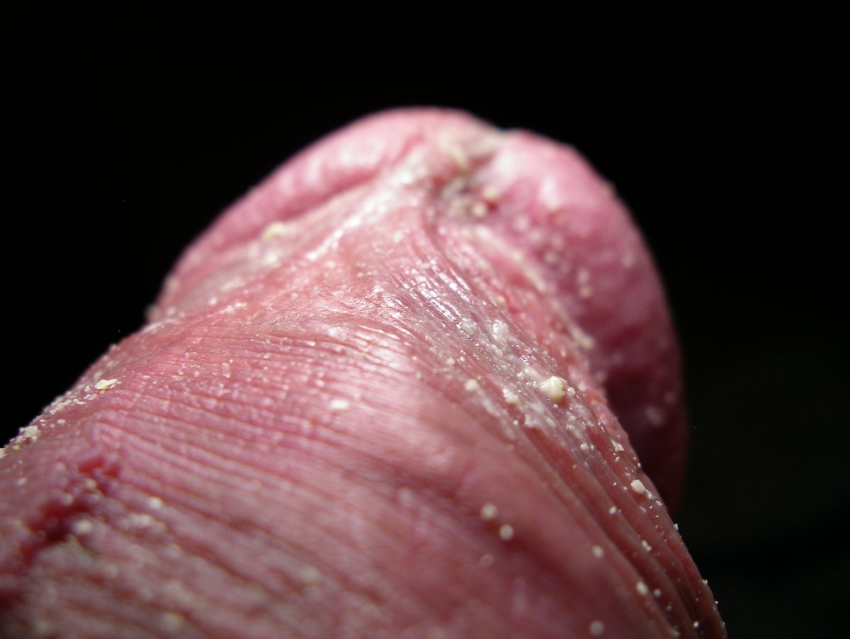 woboo7's tweet photo. #uncut #longforeskin #smell #cockcheese @smegma https://t.co/waoxvHH7ON