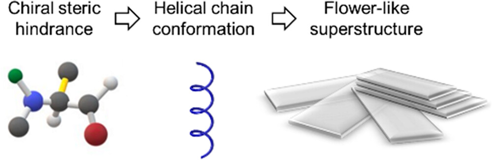 New method for constructing hierarchical superstructures through molecular programming! The team @BioPACIFICMIP has developed a unique approach to stabilize peptoid helices, which crystallize into nanosheets and form exquisite flower-like superstructures! bit.ly/3PLsFIO