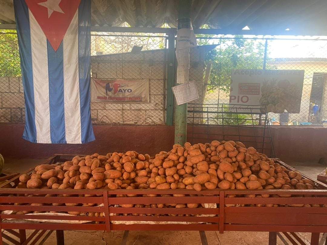 Susely Morfa González tweet media