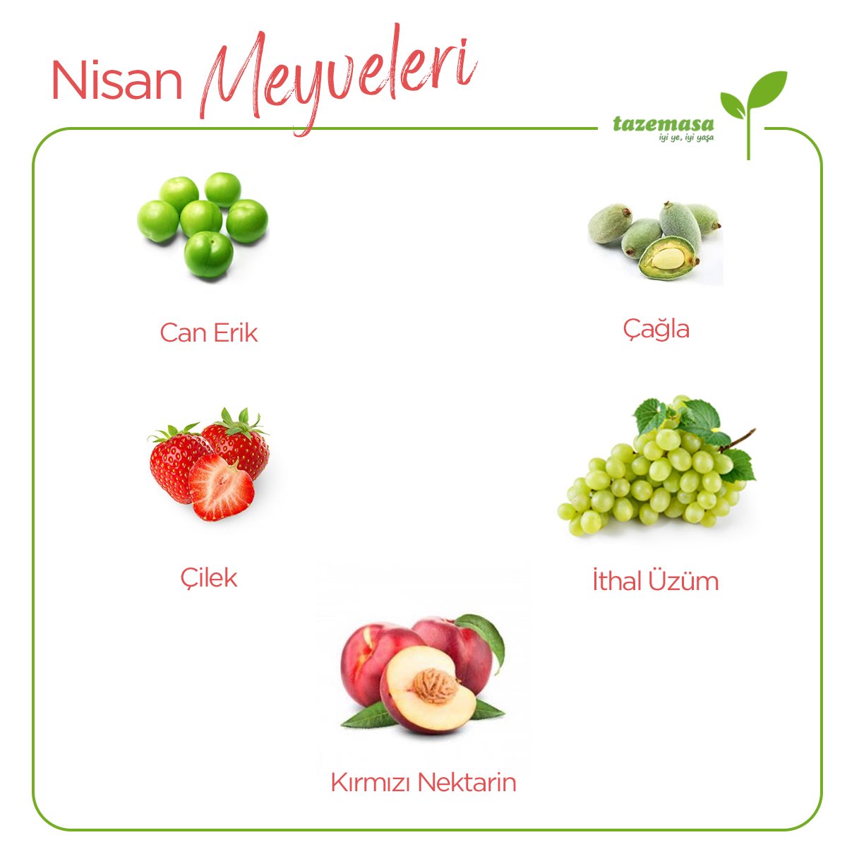 Nisan ayı geldi 🌸 doğa uyanıyor. Mevsiminde beslenmek hem doğa hem de sağlığımız için önemli. İşte nisan ayında tercih edebileceğiniz meyveler😍 Sağlıkla tüketin 🤩 #tazemasa #tazemasacom #iyiyeiyiyaşa #nisanmeyveleri #mevsimindetüketelim #doğal #organik #sürdürülebilirlik