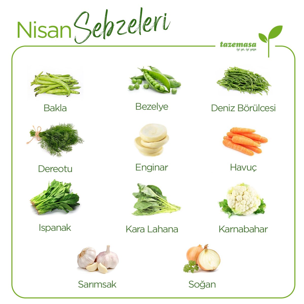 Nisan ayı geldi 🌸 doğa uyanıyor. Mevsiminde beslenmek hem doğa hem de sağlığımız için önemli. İşte nisan ayında tercih edebileceğiniz sebzeler😍 Sağlıkla tüketin 🤩 #tazemasa #tazemasacom #iyiyeiyiyaşa #nisansebzeleri #mevsimindetüketelim #doğal #organik #sürdürülebilirlik