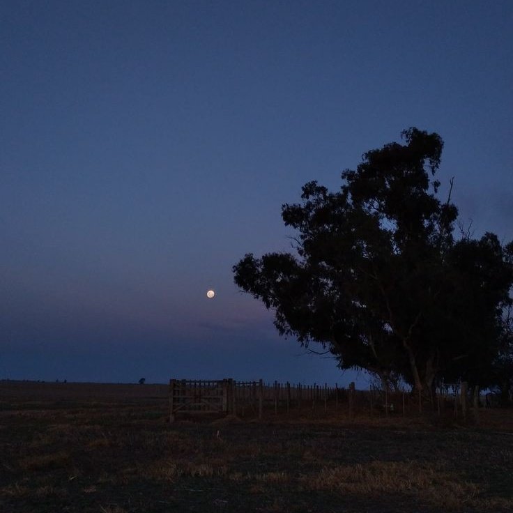 Göğsünün daraldığını biliyoruz.

Hicr, 97