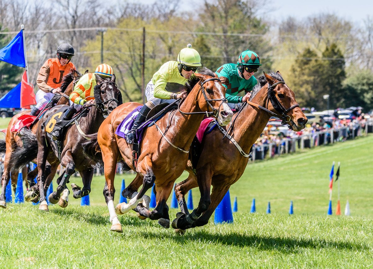 And we are off to the races! 🐎💜 #LoveLoudoun The Middleburg Spring Races at Glenwood Park are Saturday, April 20th! 🐴 Click here for tickets: bit.ly/3O12SK5 Gates open at 10 AM. First race is at 1 PM! ⏰