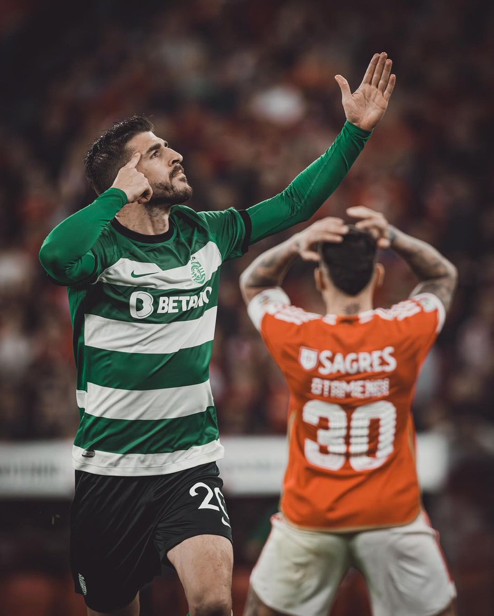 Fotão 🥶