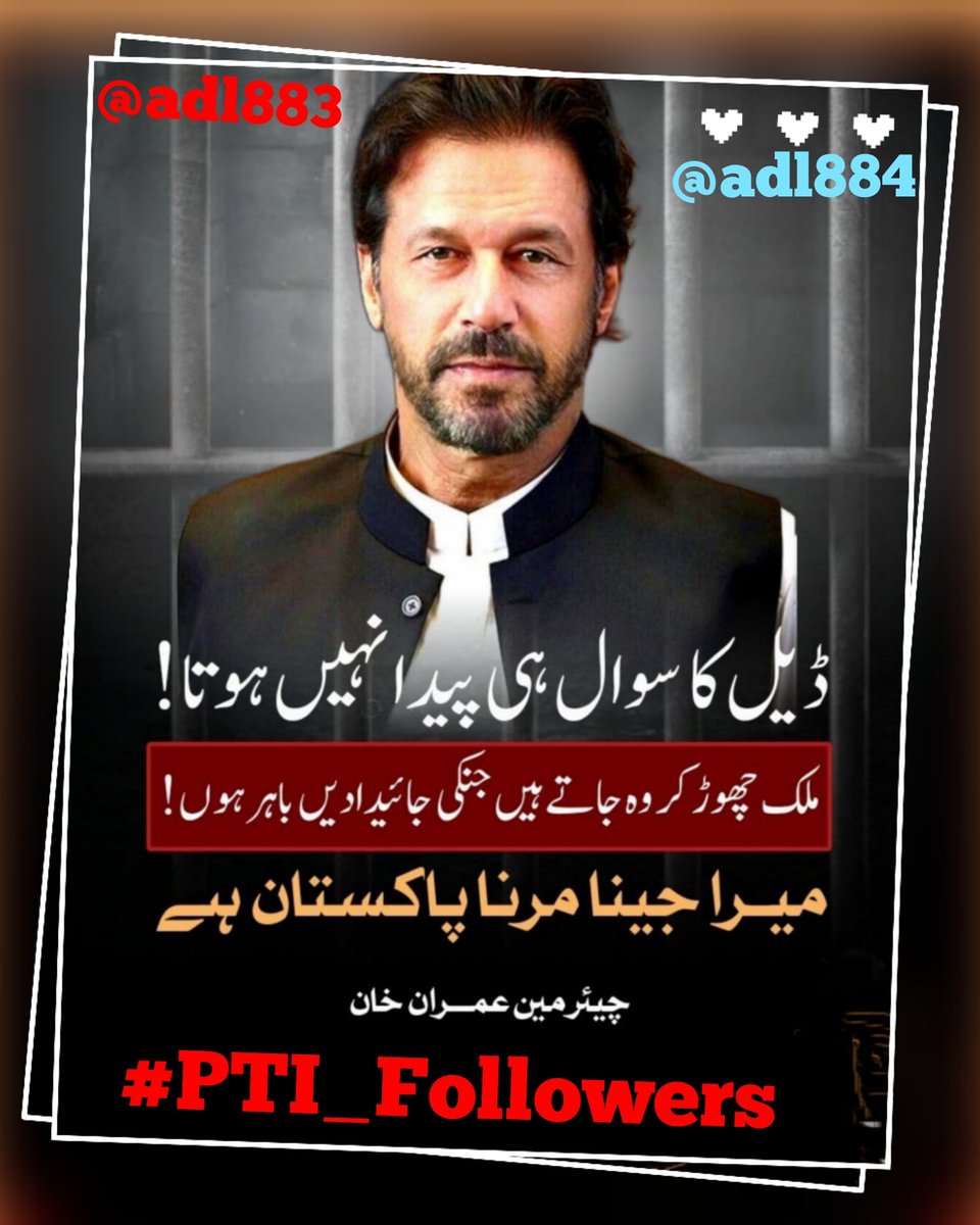 Mr Altcoin Whale 🐋 tweet media