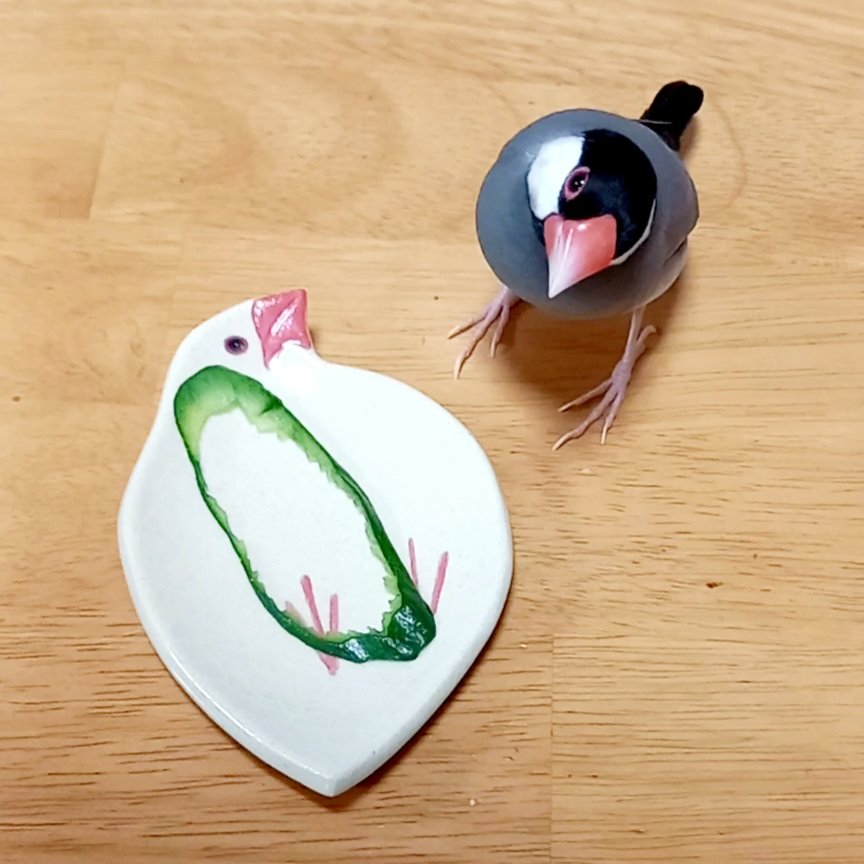 キュウリの皮だけ残して食べました。