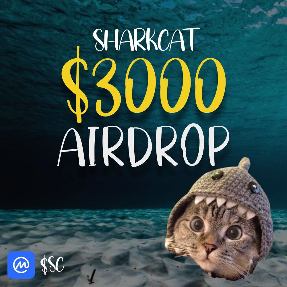 To celebrate the listing on CoinMarketCap we're giving away 3000 $SC per address! The cat with the mf hat is strong. 🦈 STEP 1: 💟 & 🔁 STEP 2: Drop your Solana wallet STEP 3: Claim at sharkcat.xyz Check your wallet in 24 hours! 🪂