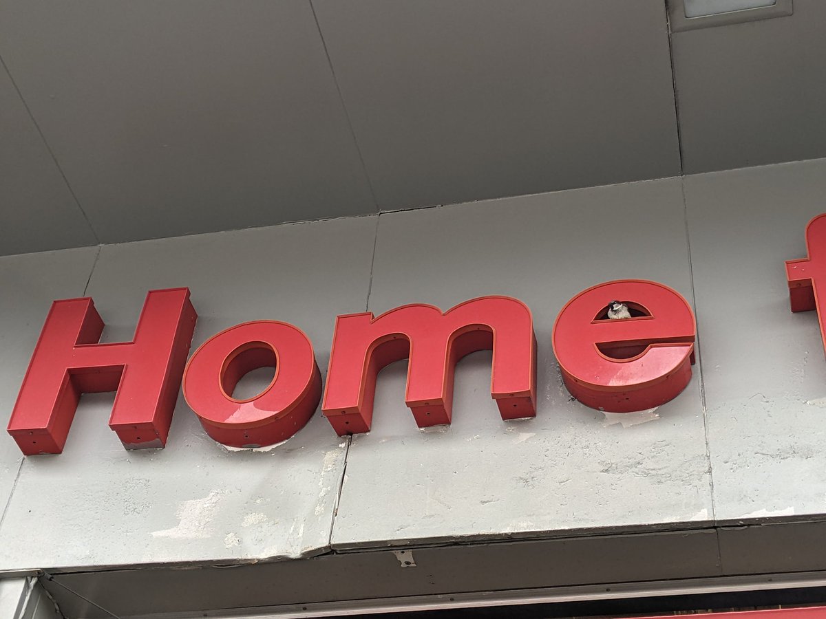 MikeyFoxx's tweet photo. Birb home https://t.co/AexUomNT33
