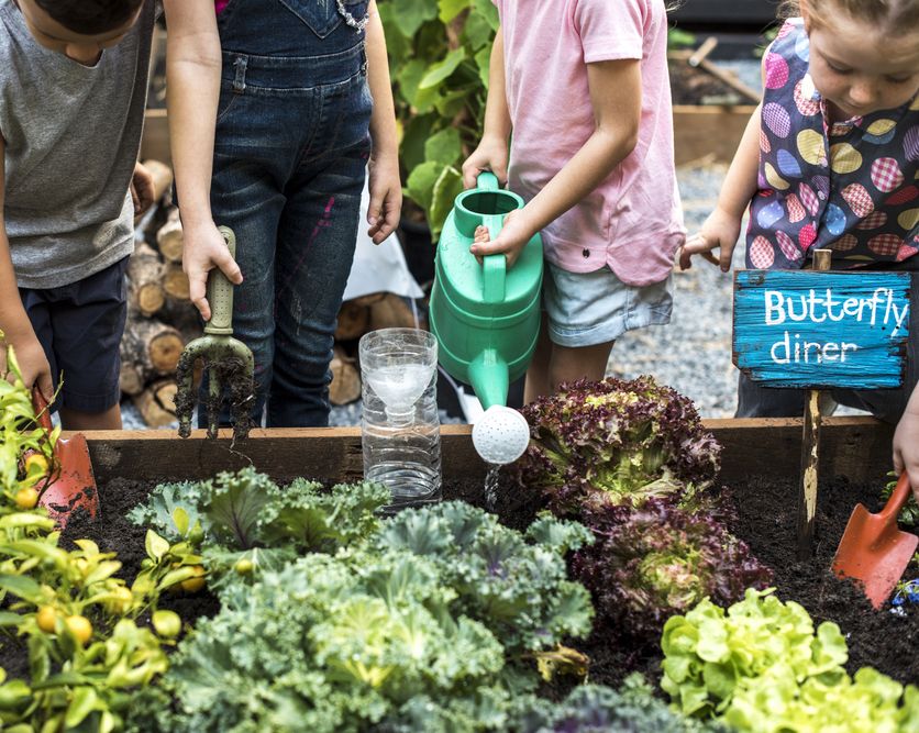 veg_plotter's tweet photo. Ever thought of starting a gardening club for your kids at school? π± https://t.co/yPG6BSgh30 offers a free teacher/school account to help get your kids growing! Jump into gardening and learn together. Find out more here: https://t.co/07QqzvxDZx #SchoolGardening #VegPlotter https://t.co/JPGINcJ7ad