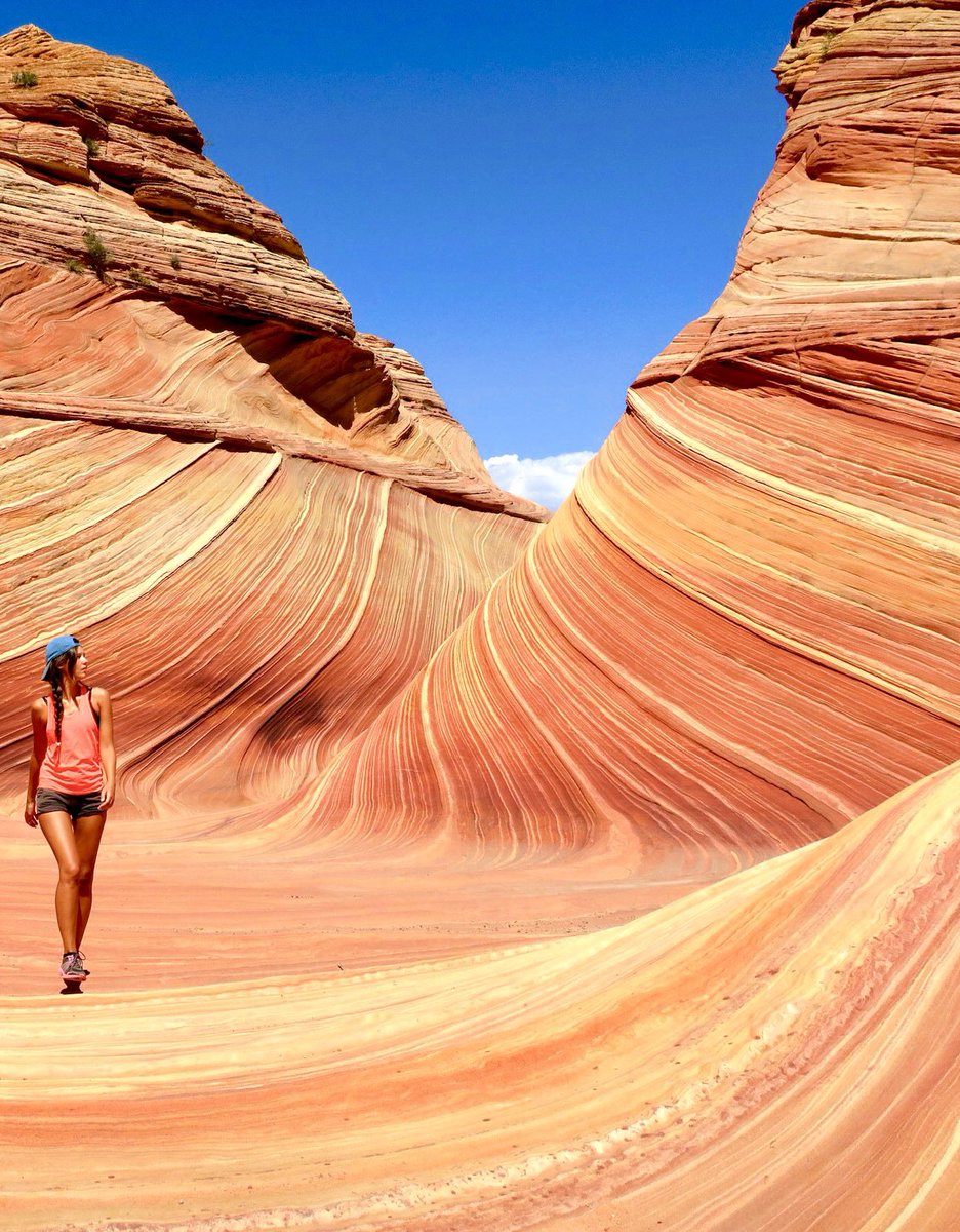 Vertigo_NM's tweet photo. Do you wanna hike here?
#TheWave
#PariaCanyon
#VermilionCliffs
#Arizona
#CoyoteButtes
#2hoursHiking
#NaturePhotography
#Wanderlust https://t.co/1PdlyUZTnN