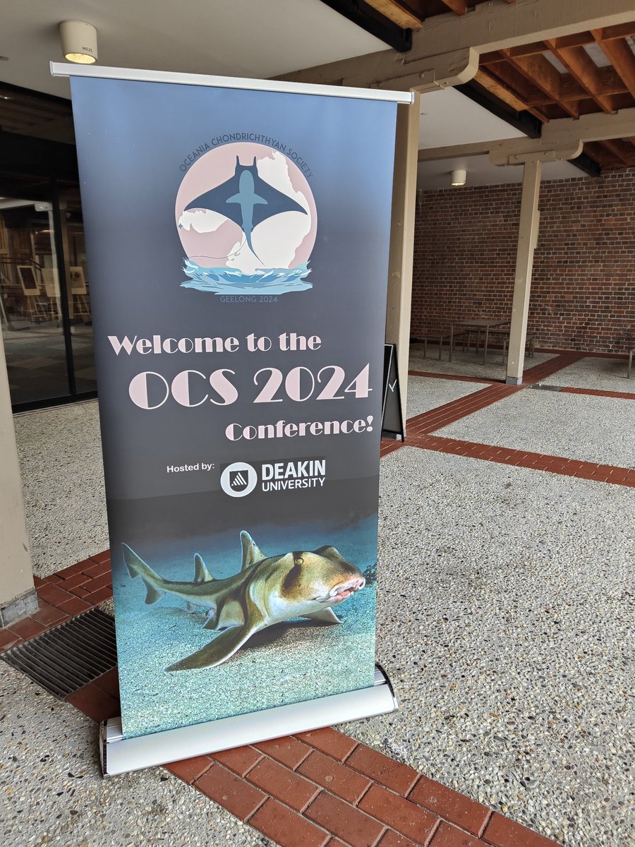 #OceaniaSharks2024 is on and I’m unfortunately unable to attend. But keep an eye out for our groups’ posters/presentations @SouthernSharkEG @DinsdaleLab A lot of amazing student and post-doc work!