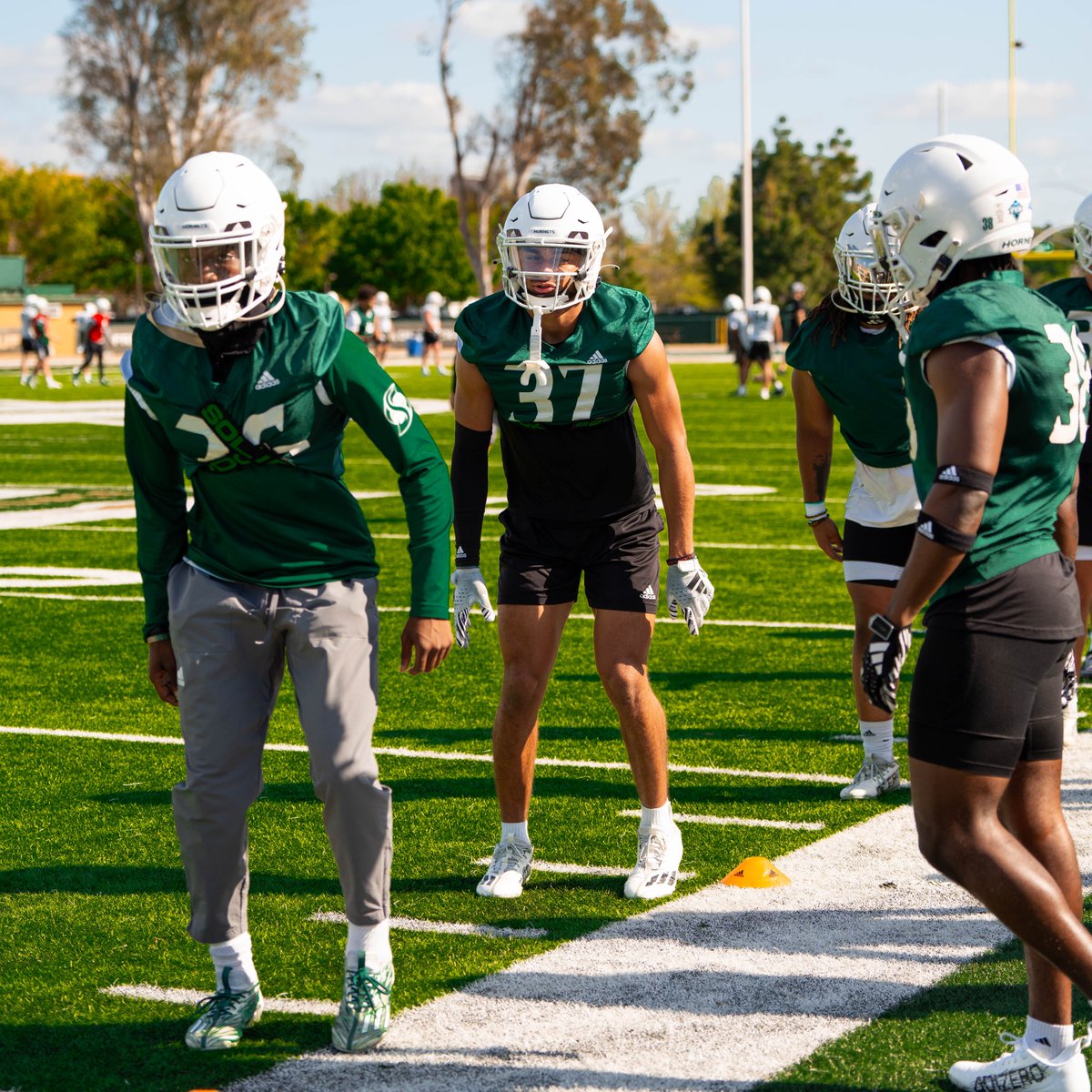 Week Two Vibes 🤘 #StingersUp | #GreenSwarm