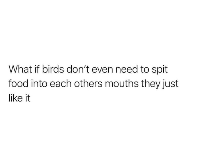 Damn. lol https://t.co/4eL62Oh6Zk