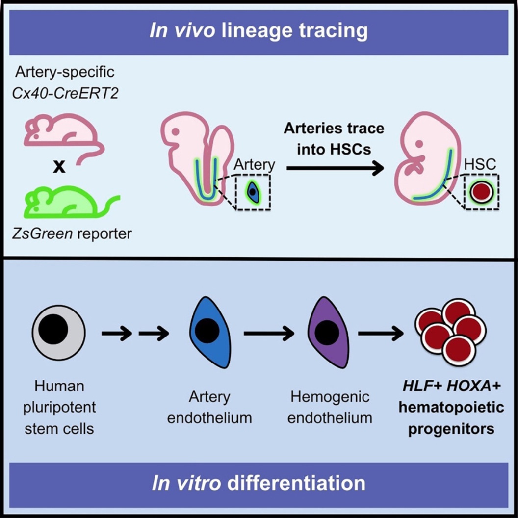 Sherry Li Zheng 🦭 tweet media
