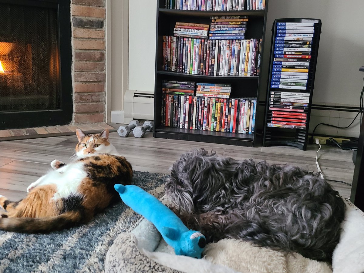 Since it's #snowing again in #Wisconsin we turned the fireplace on...for the #dog and #Cat