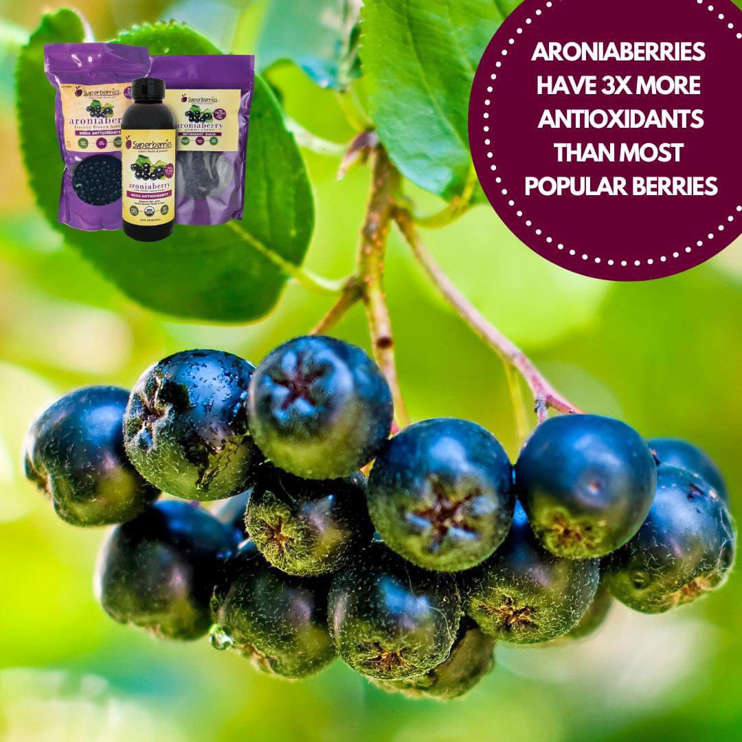 Superberries Aroniaberries top the #antioxidant charts and have 3 times more antioxidants than most popular berries like blueberries and cranberries. Learn why this is so important for your health, especially these days, at superberries.com. #Superberries #Aroniaberries