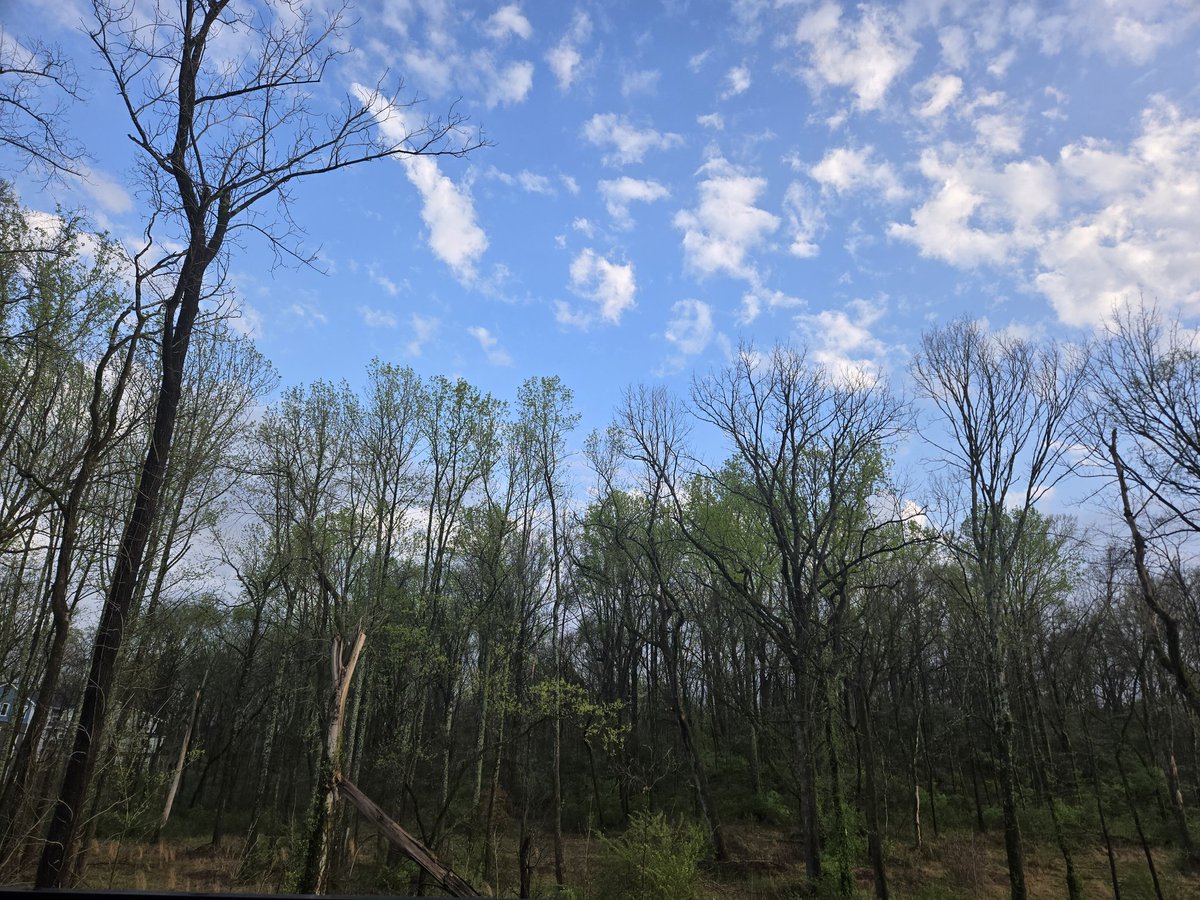 MBohlin2787's tweet image. The calm after the storm. #StormTracker