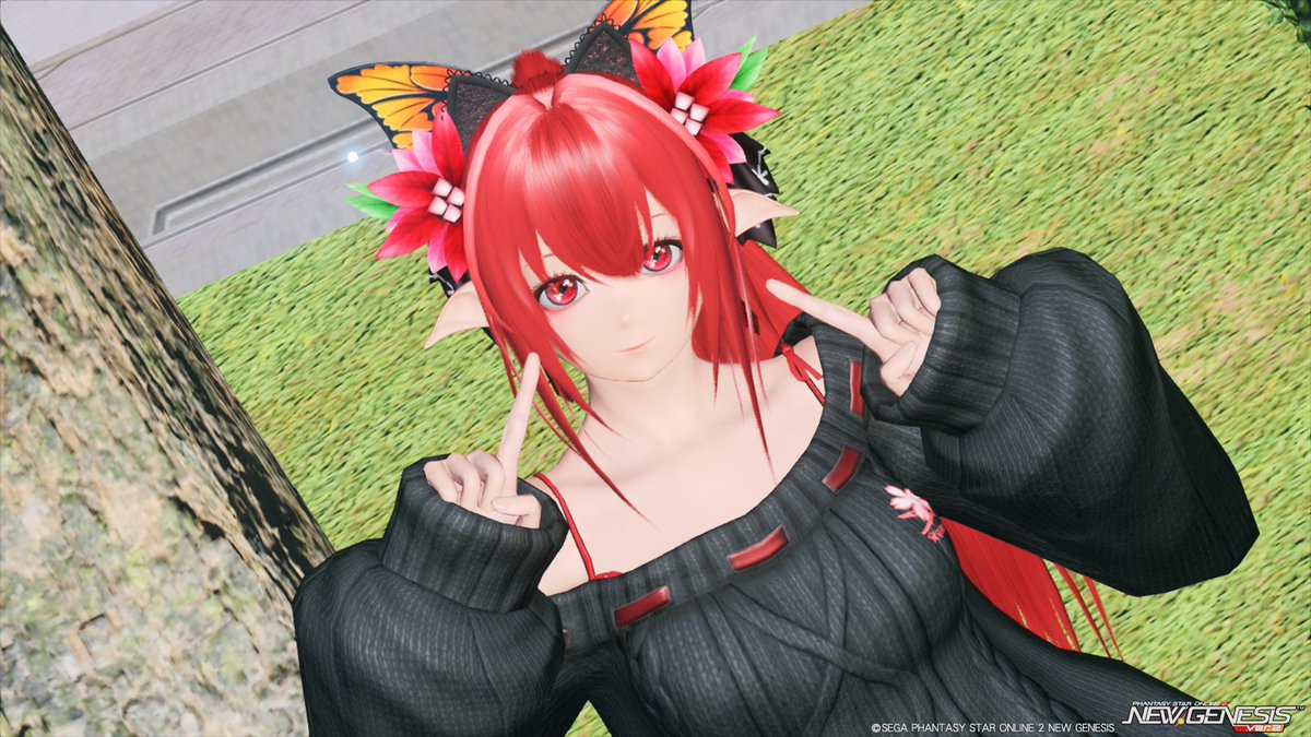 world27can2012's tweet image. |ू･ω･` )おはようございます🐟💨
頭・顔アクセオンリーになった結果↓
 #PSO2NGS_SS 
 #都南家の日記帳