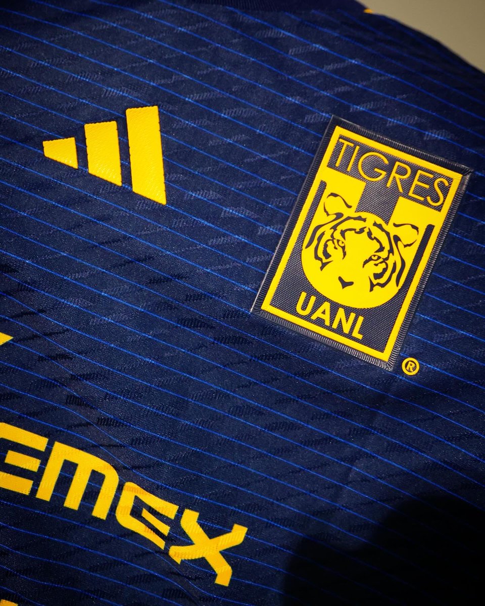 TigresOficial tweet picture