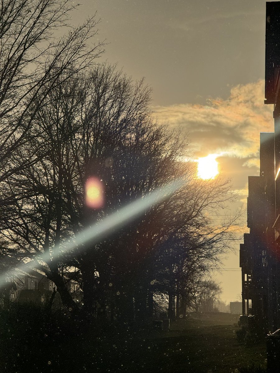 Sunny downpour