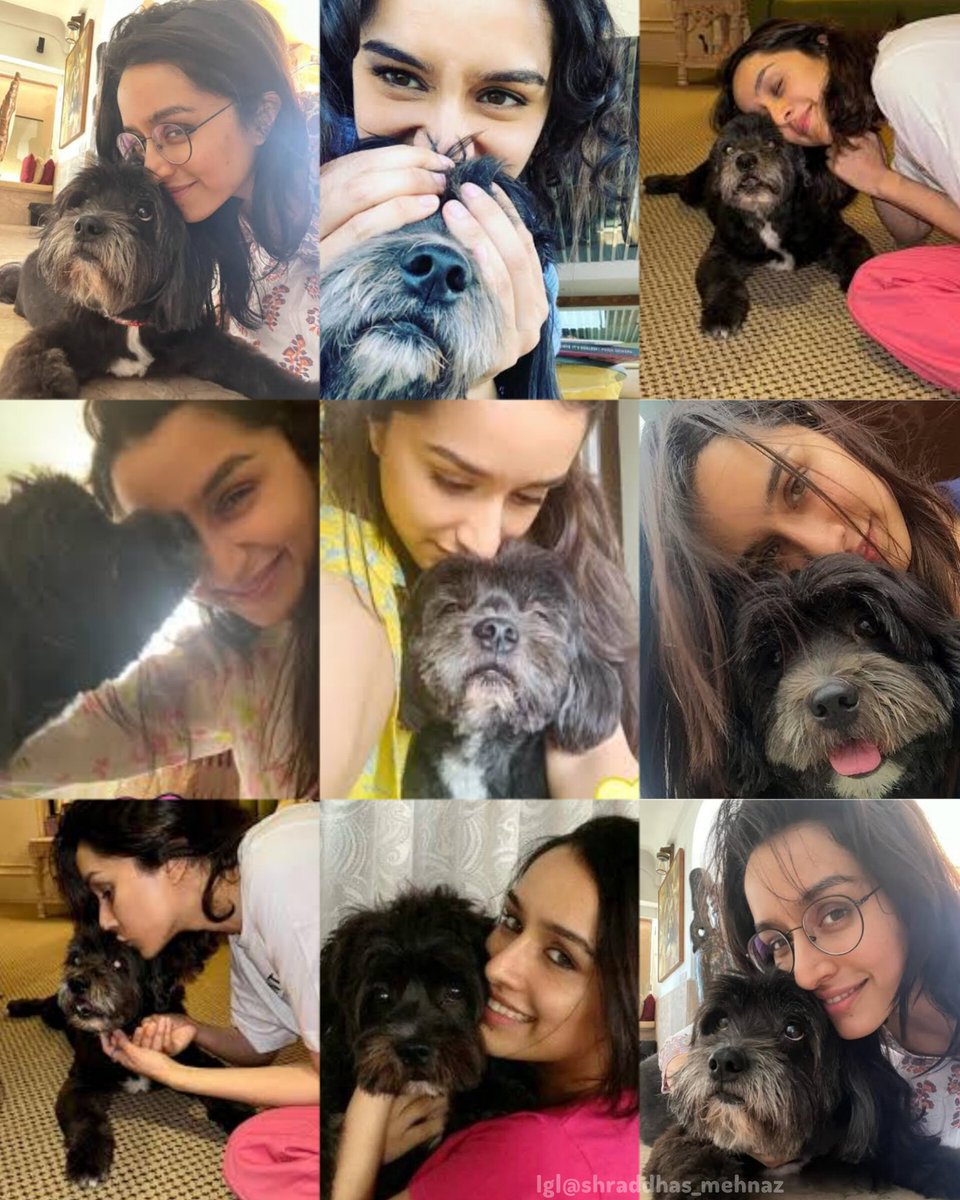 Happy birthday to the king of the Kapoor family!🤴❤️🐾🎀 #shylohbabu